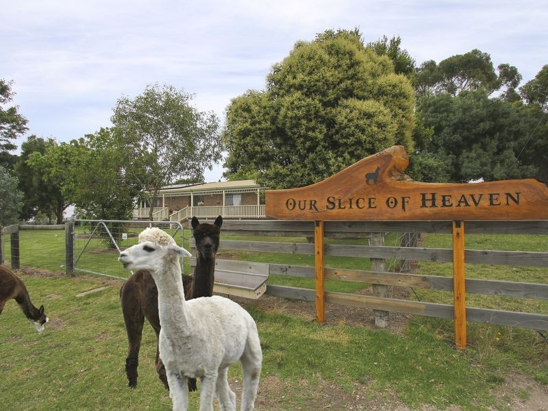 575A Great Alpine Road, Sarsfield VIC 3875