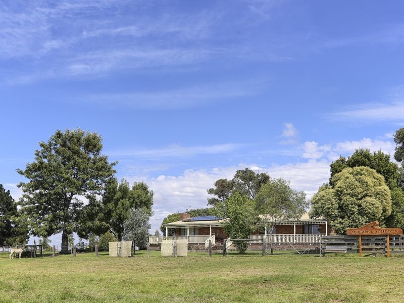 575A Great Alpine Road, Sarsfield VIC 3875