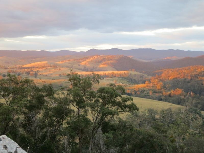 4410 Buchan Orbost Rd, Buchan VIC 3885