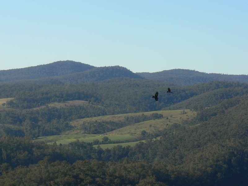 4410 Buchan Orbost Rd, Buchan VIC 3885