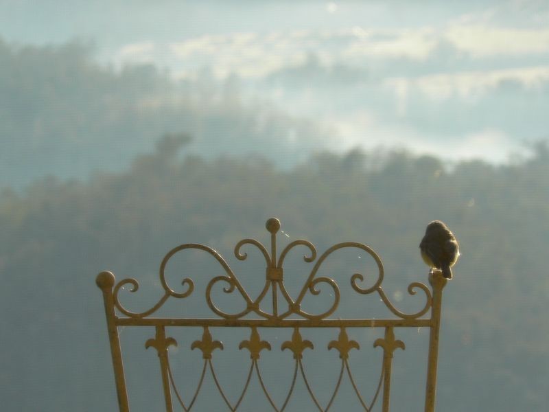 4410 Buchan Orbost Rd, Buchan VIC 3885