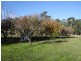 97 Waddells Road, Nicholson VIC 3882