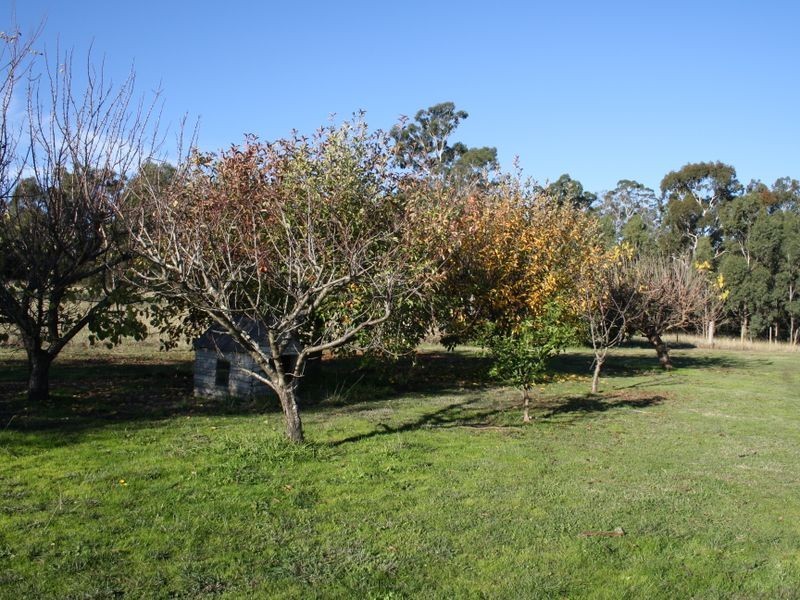 97 Waddells Road, Nicholson VIC 3882