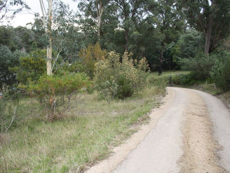 201 Great Alpine Road, Bruthen VIC 3885