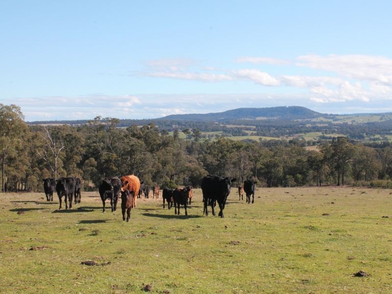 533 Balfours Road, Granite Rock VIC 3875