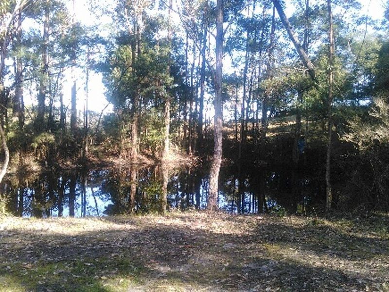 8 Tarbucks Road, Cabbage Tree Creek VIC 3889