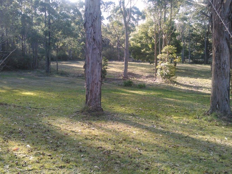 8 Tarbucks Road, Cabbage Tree Creek VIC 3889