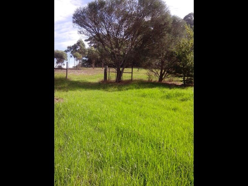 8 Tarbucks Road, Cabbage Tree Creek VIC 3889