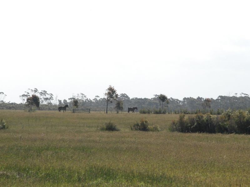 404 Marlo Plains Road, Marlo VIC 3888