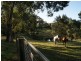 10 Holes Road, Mount Taylor VIC 3875