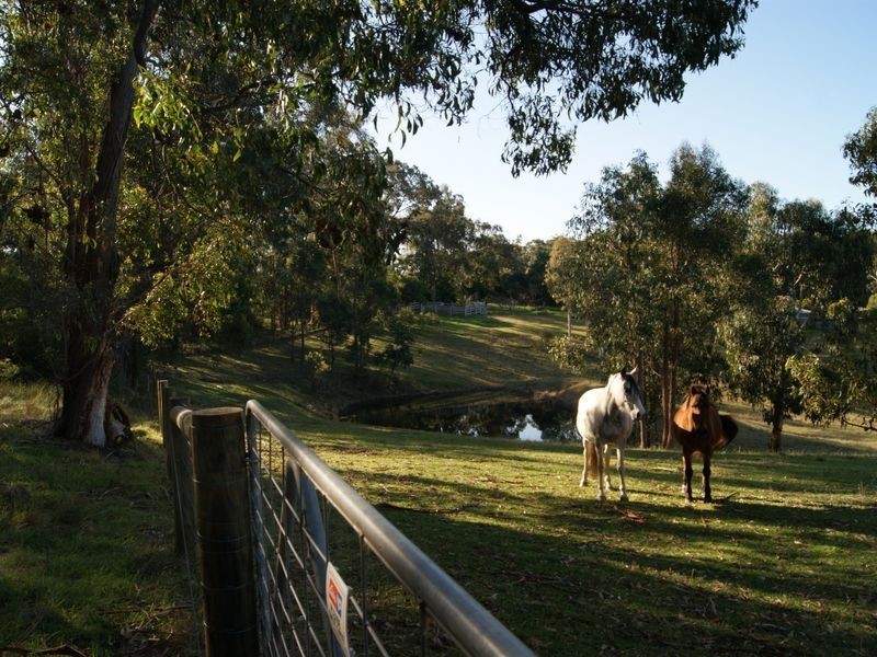 10 Holes Road, Mount Taylor VIC 3875