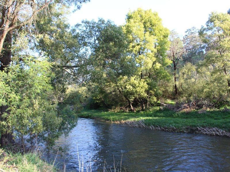 9 Saleyard Road, Buchan VIC 3885