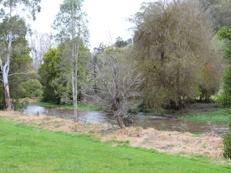 9 Saleyard Road, Buchan VIC 3885