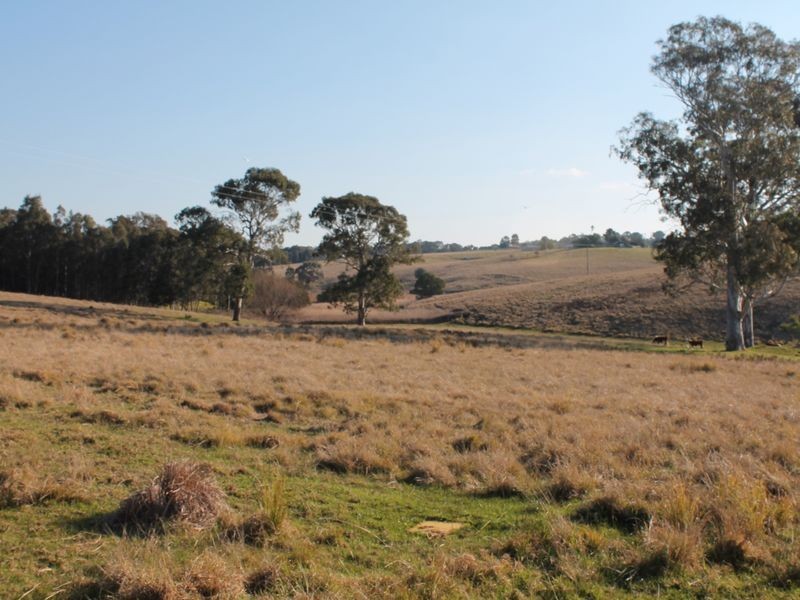 65 Nicholson – Sarsfield Road, Nicholson VIC 3882