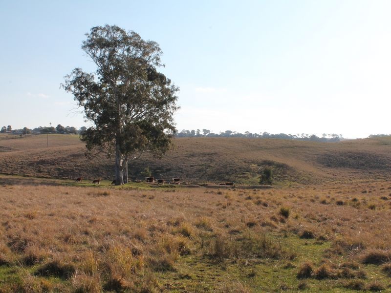 65 Nicholson – Sarsfield Road, Nicholson VIC 3882