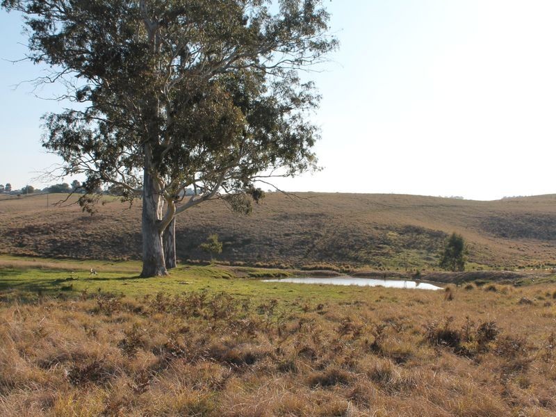 65 Nicholson – Sarsfield Road, Nicholson VIC 3882