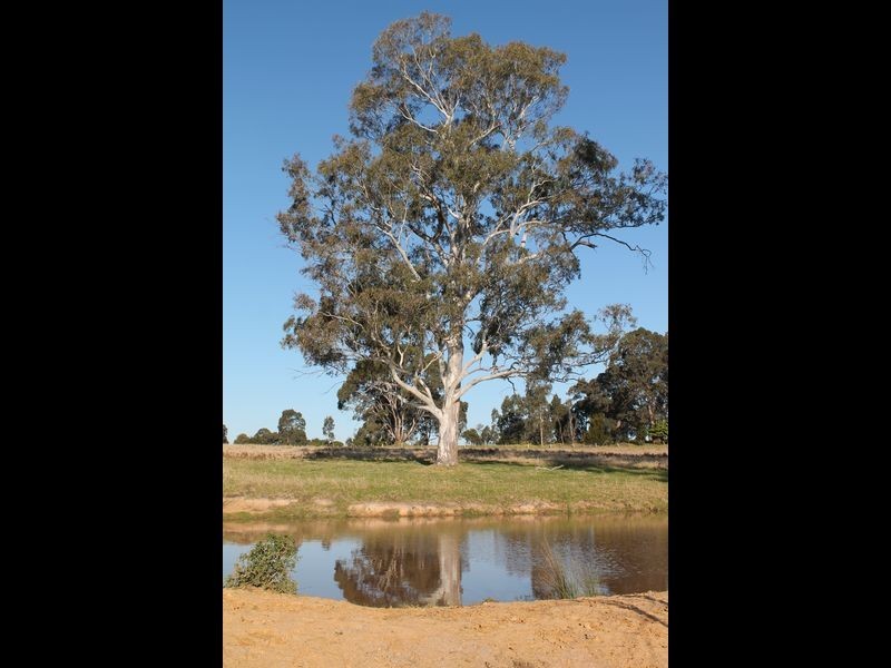 65 Nicholson – Sarsfield Road, Nicholson VIC 3882