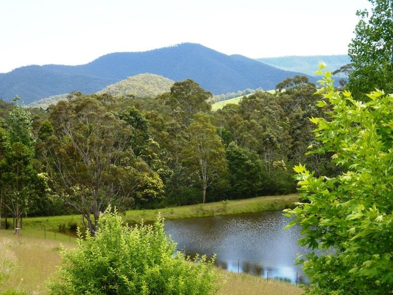 31 Lanes Road, Dargo VIC 3862