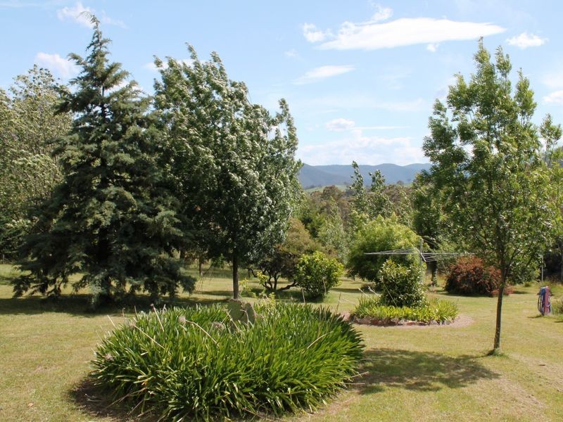 31 Lanes Road, Dargo VIC 3862