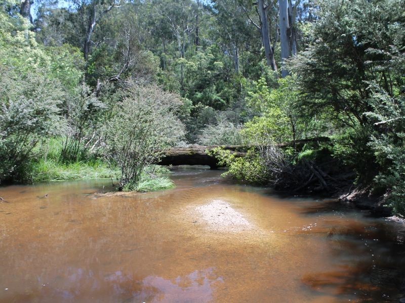 1620 Waterholes Road, Waterholes VIC 3875