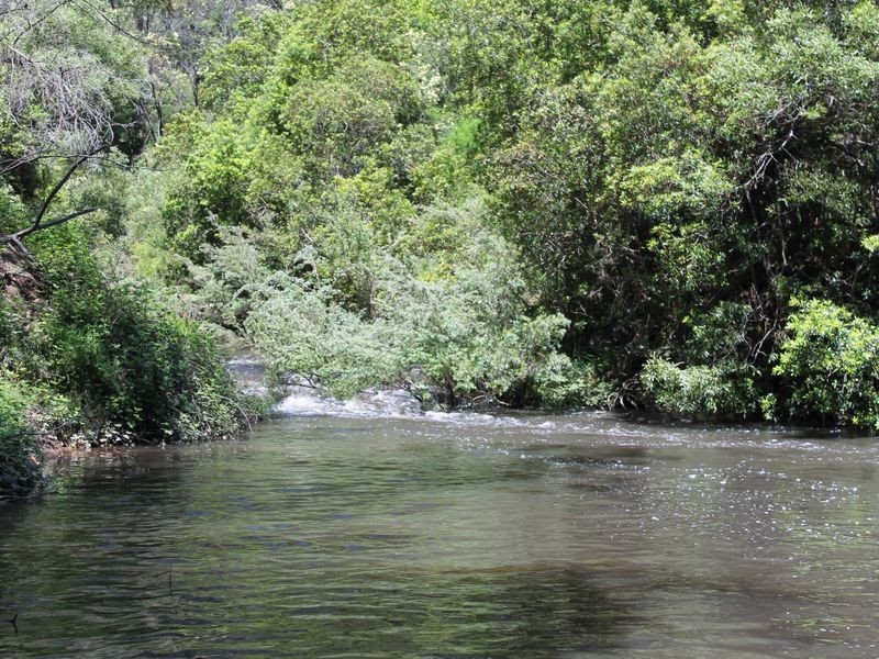 1620 Waterholes Road, Waterholes VIC 3875