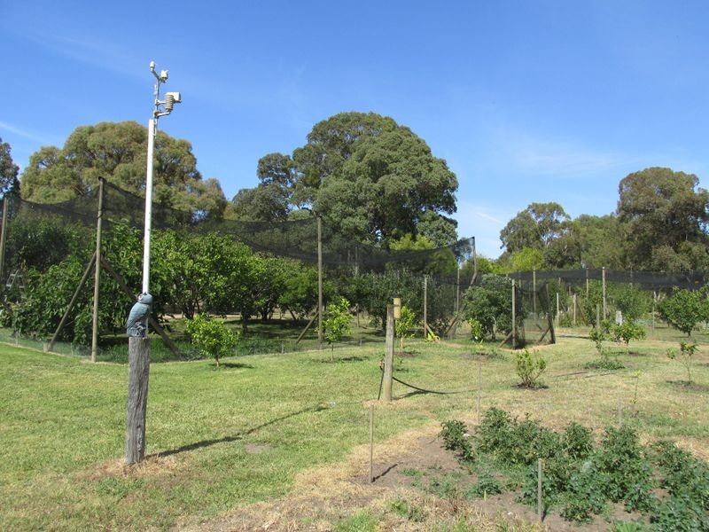 244 Stephenson Road, Nicholson VIC 3882