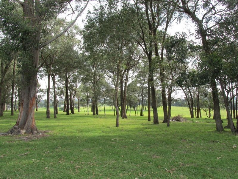 125 Flaggy Creek Road, Flaggy Creek VIC 3875