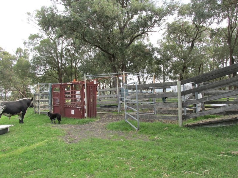 125 Flaggy Creek Road, Flaggy Creek VIC 3875