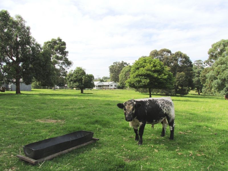 125 Flaggy Creek Road, Flaggy Creek VIC 3875