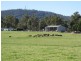 42 Sandy Flat Road, Orbost VIC 3888