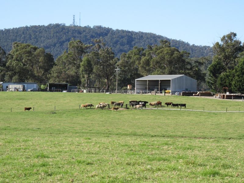 42 Sandy Flat Road, Orbost VIC 3888