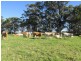 42 Sandy Flat Road, Orbost VIC 3888