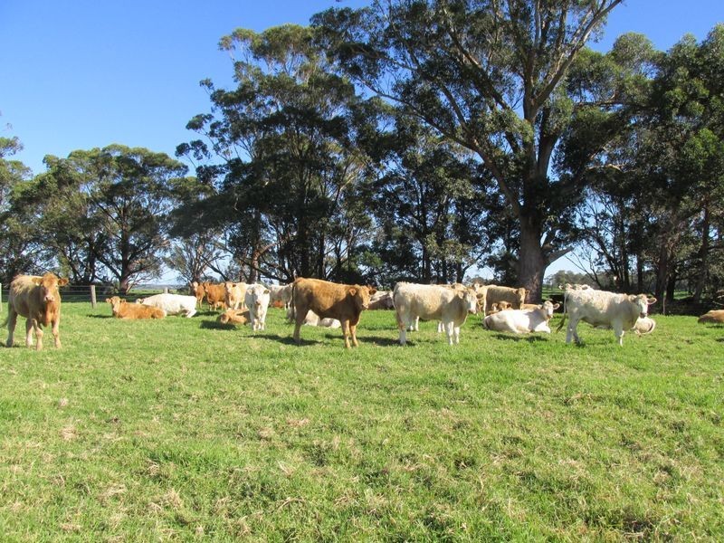 42 Sandy Flat Road, Orbost VIC 3888