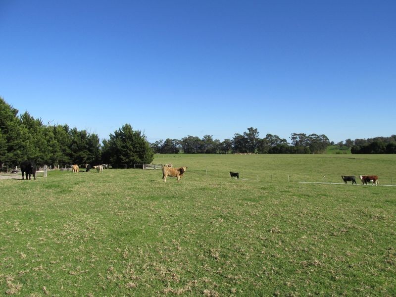 42 Sandy Flat Road, Orbost VIC 3888