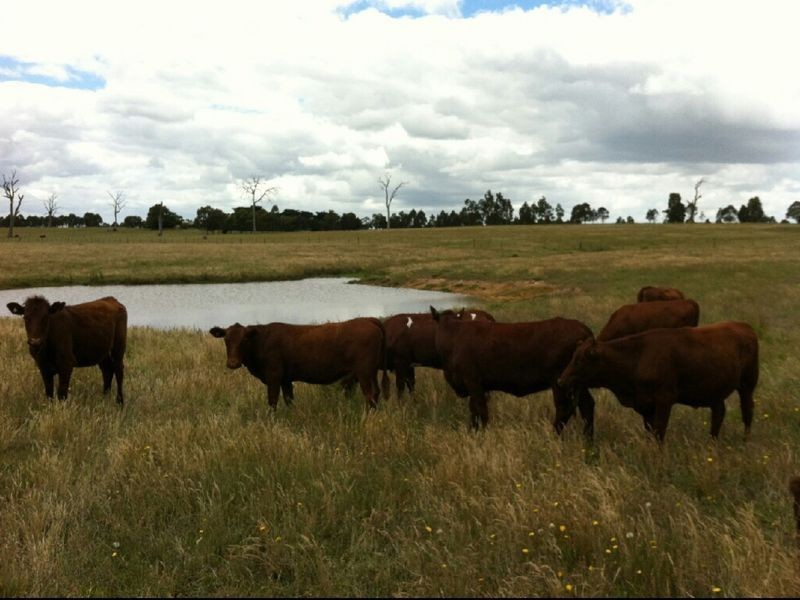 16 Calverts Road, Hillside VIC 3875