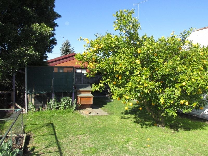 20 Moroney Street, Bairnsdale VIC 3875