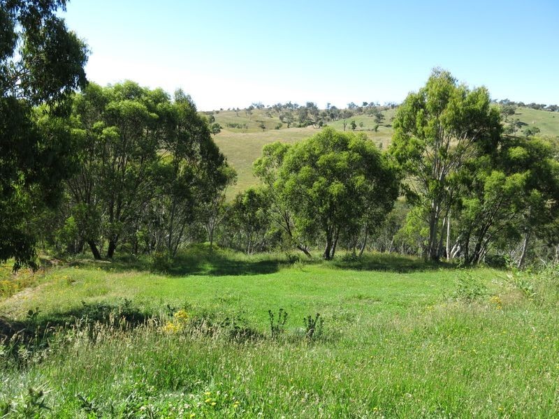 74 Cobungra Crt, Cobungra VIC 3898