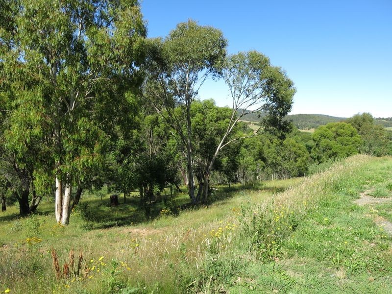 74 Cobungra Crt, Cobungra VIC 3898