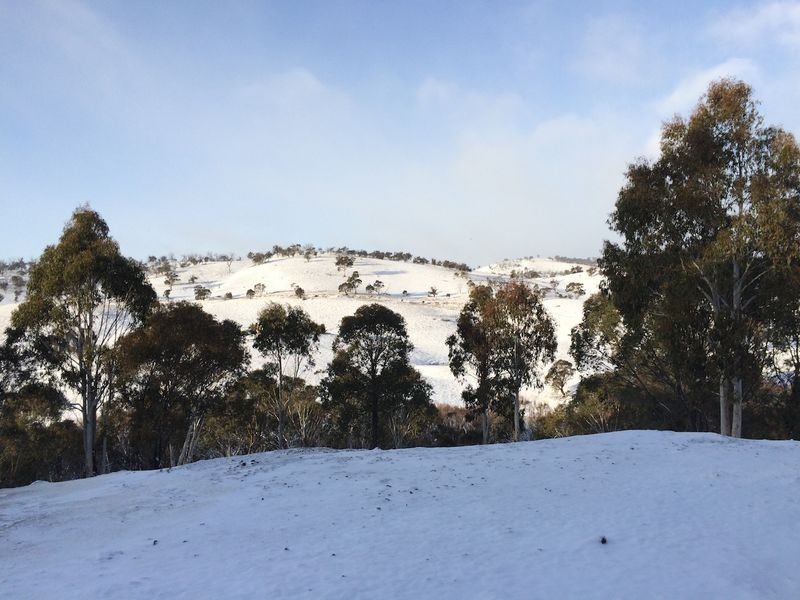 74 Cobungra Crt, Cobungra VIC 3898