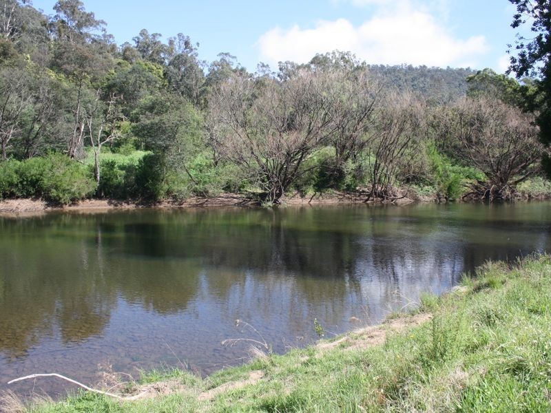 Allot 11 S Lower Dargo Road, Dargo VIC 3862