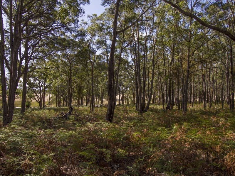 350 Redcourt Lane, Lindenow South VIC 3875