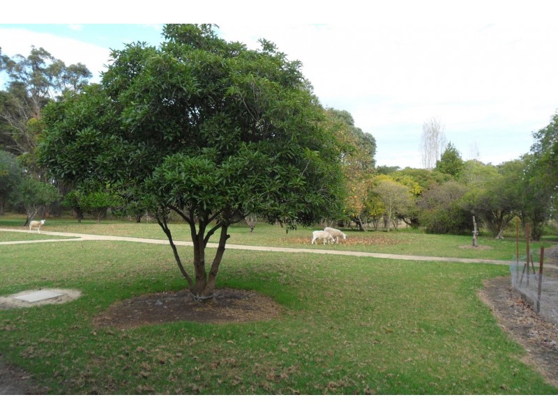 64 Robertsons Road, Kalimna West VIC 3909