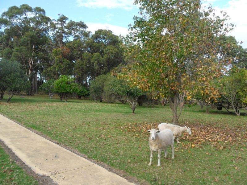 64 Robertsons Road, Kalimna West VIC 3909