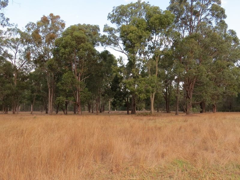 444 Stephenson Road, Nicholson VIC 3882