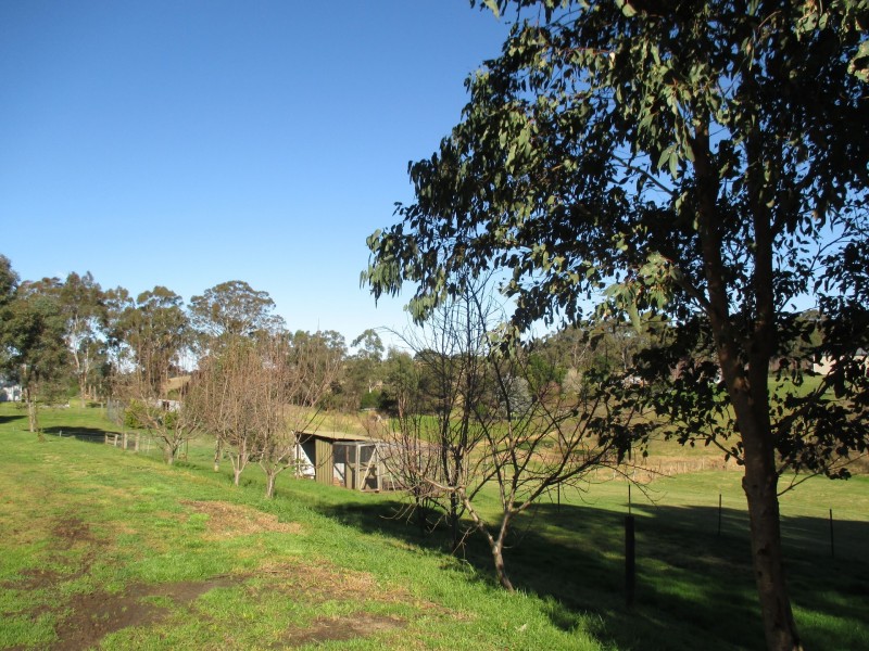 125 Nicholson – Sarsfield Road, Nicholson VIC 3882