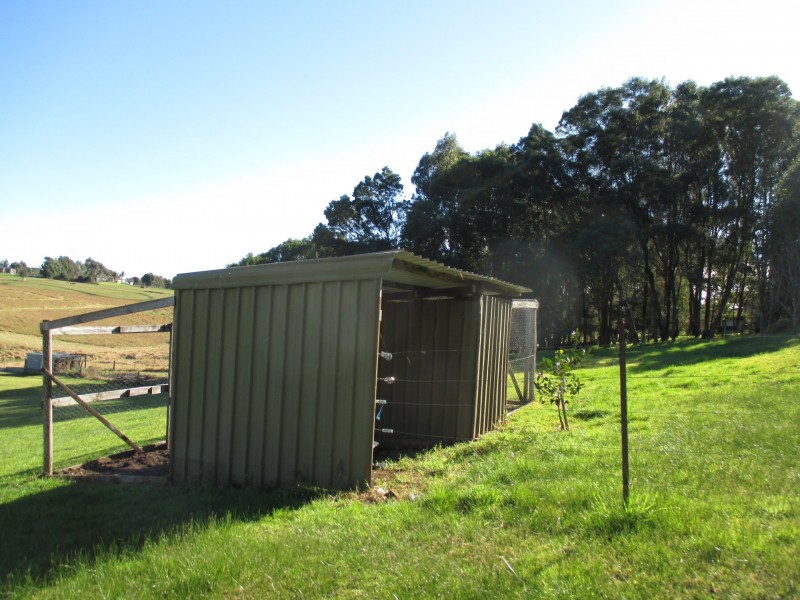 125 Nicholson – Sarsfield Road, Nicholson VIC 3882