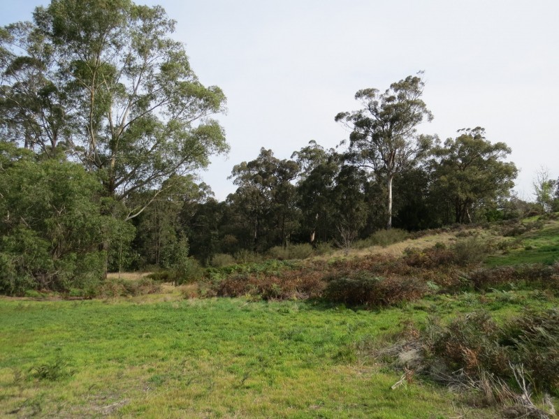 7 Puggle Lane, Sarsfield VIC 3875
