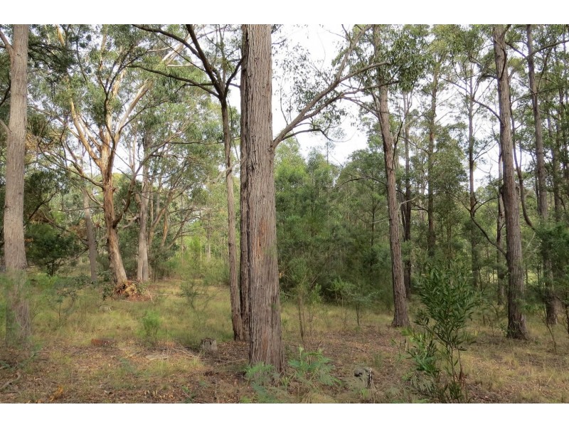 1623 Great Alpine Road, Sarsfield VIC 3875