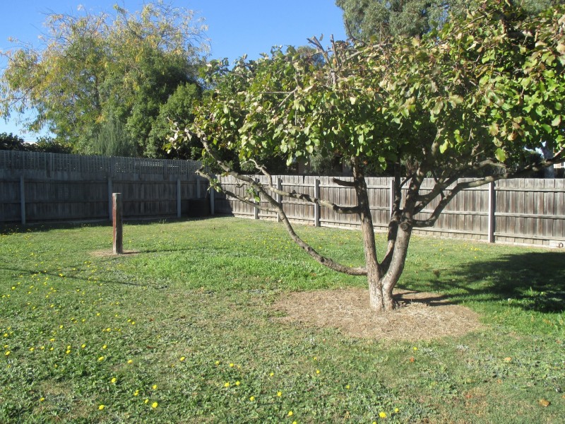 12 Alvin Court, Bairnsdale VIC 3875