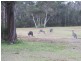 Lodge 15/2 Wattle Point Road, Bairnsdale VIC 3875
